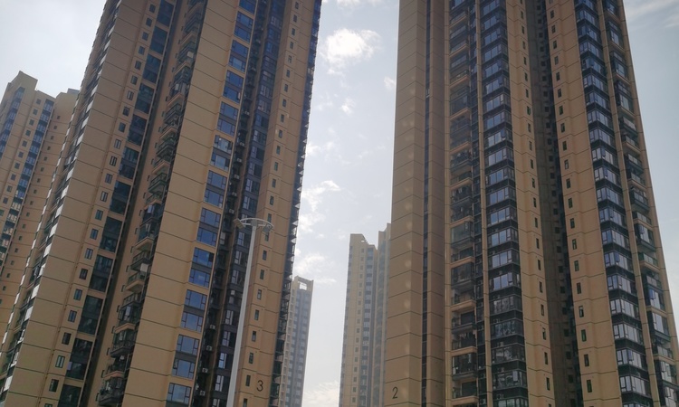 颐璟名庭施工进度图