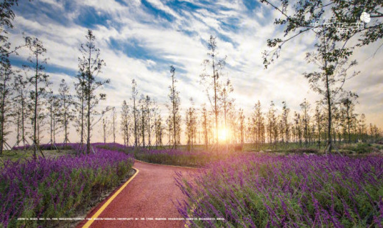 蓝城·春风蓝田实景图