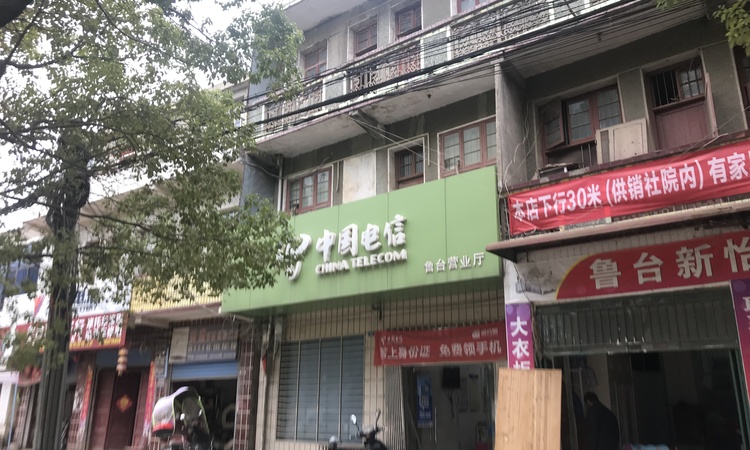  天熙楚世家施工进度图