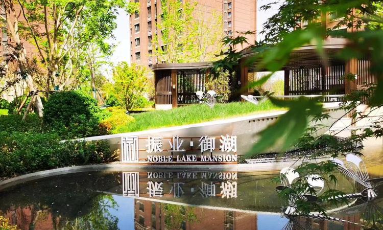 振业御湖实景图