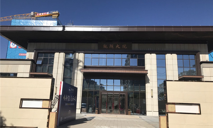 观湖大院实景图