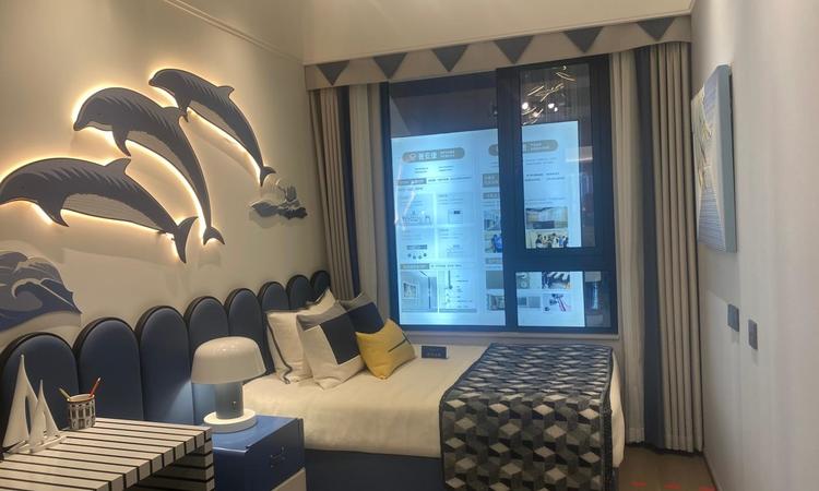 龙湖清能天曜样板间