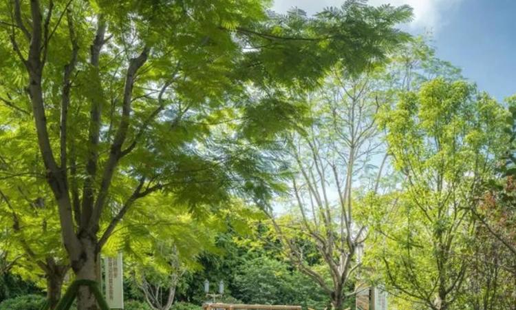  万科金域悦府周边配套图