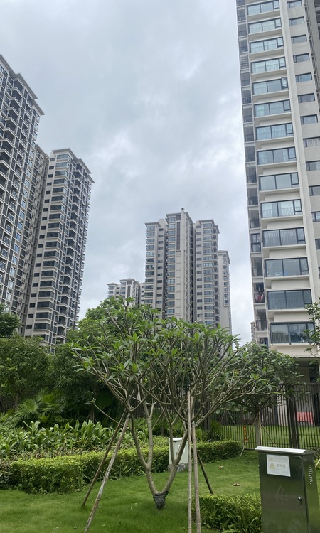 越秀逸泉锦翠施工进度图