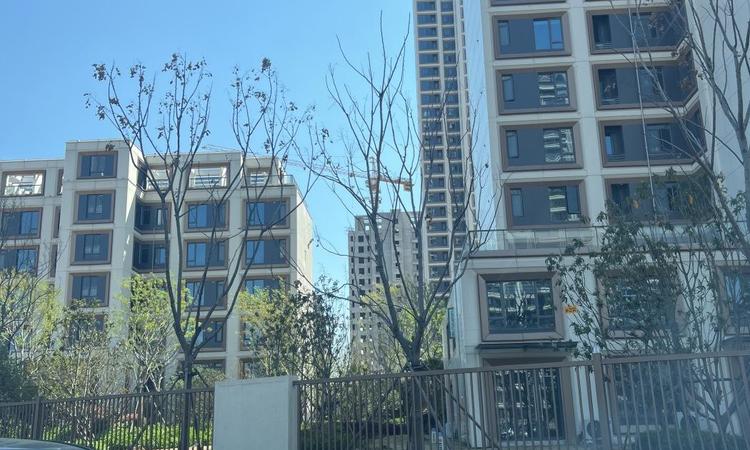 伟鹏·硅谷小镇实景图