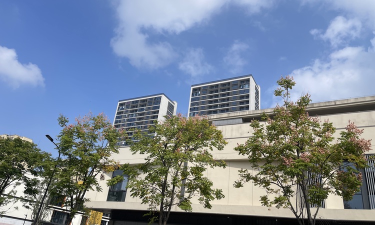 山水华府实景图