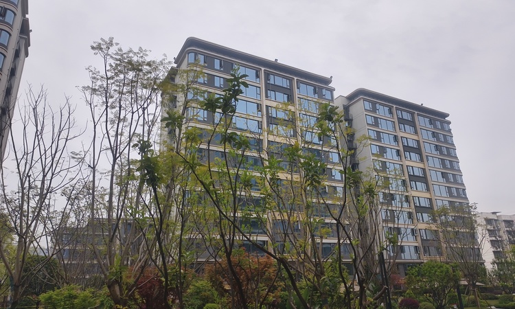 中海映溪臺施工进度图