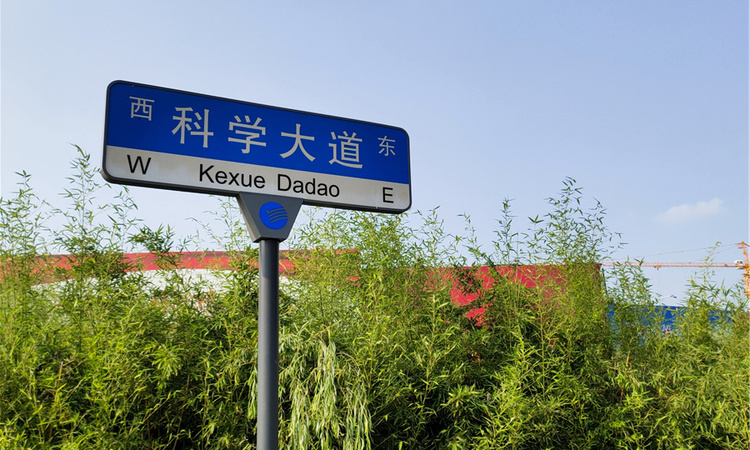 金桥西棠周边配套图