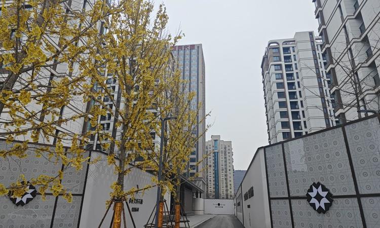 保利文华天珺实景图