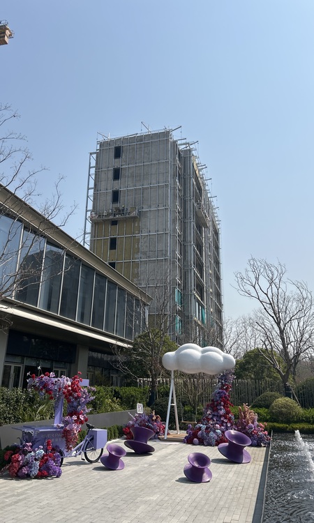 仁恒紫琅世纪施工进度图