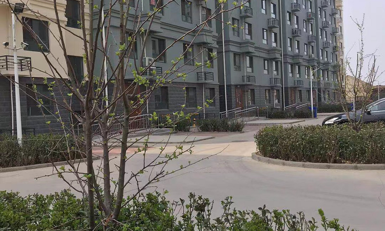 观成兰苑实景图