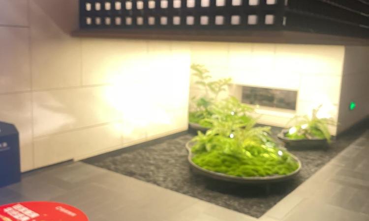 壹品兴创·元启实景图