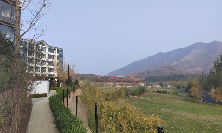 檀香篱园实景图