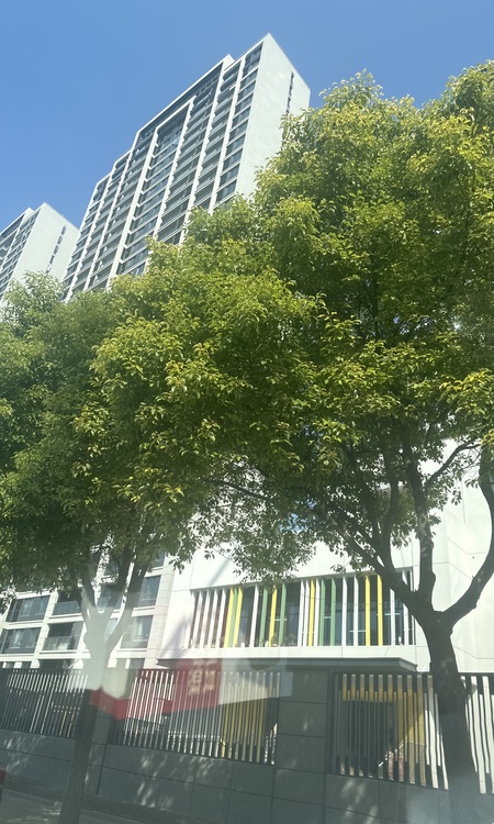 武汉城建·汉樾台施工进度图