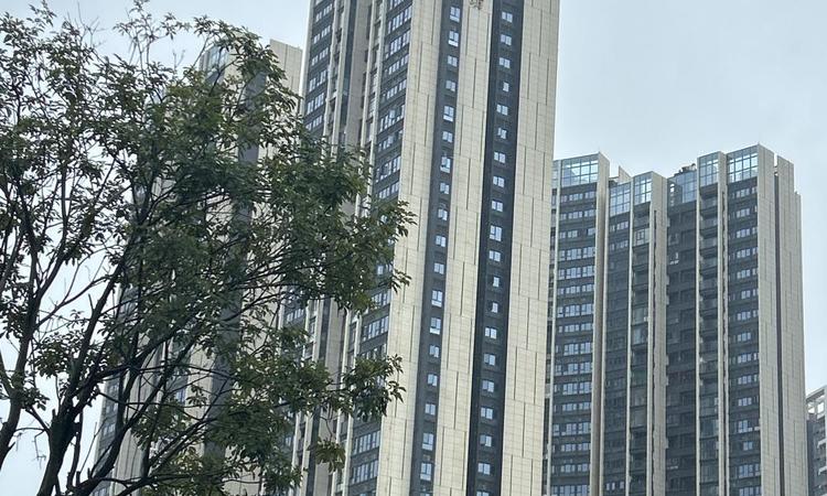 海峦坊施工进度图