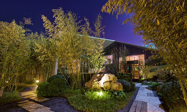 格调松间实景图