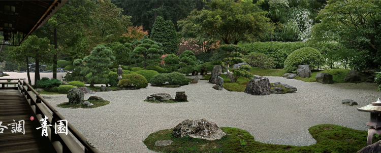 格调菁园效果图