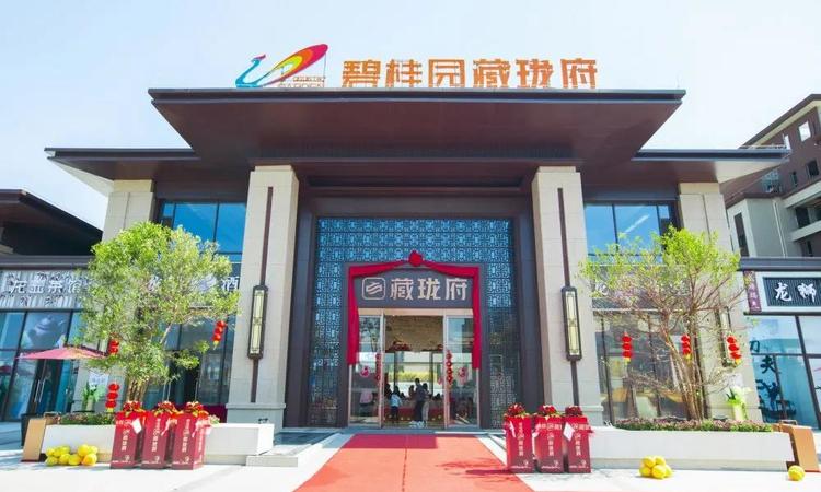 碧桂园藏珑府实景图