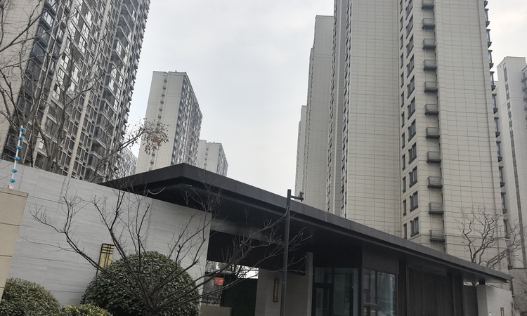 保利观棠和府施工进度图