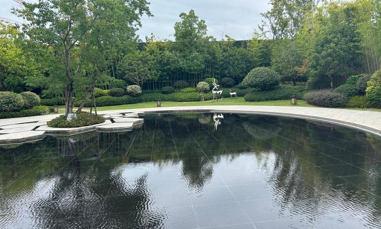 香开长龙实景图