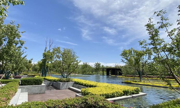 正商生态城周边配套图