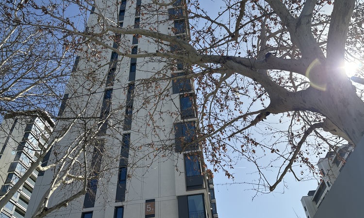 铂云府施工进度图