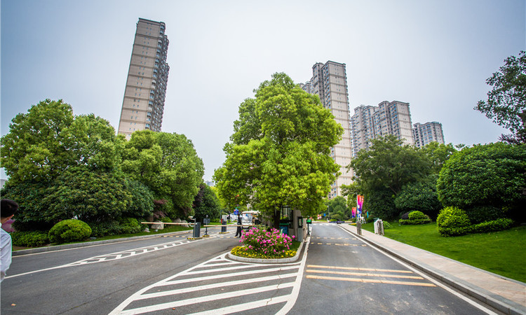 碧桂园凤凰城施工进度图