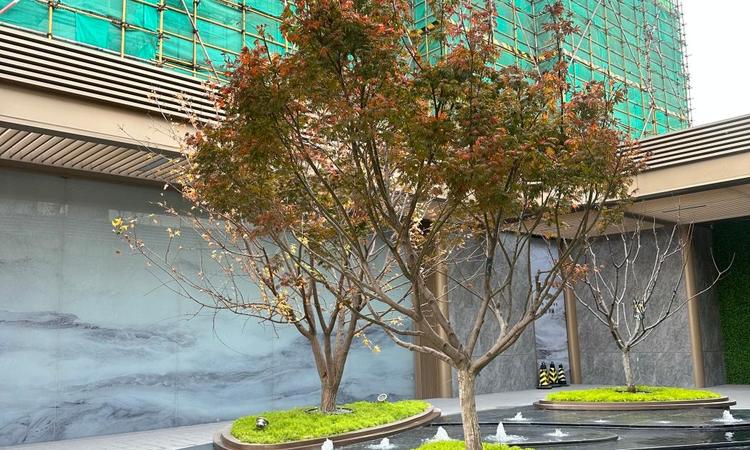 绿地·津澜实景图