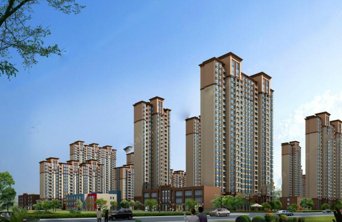 阳光森林效果图