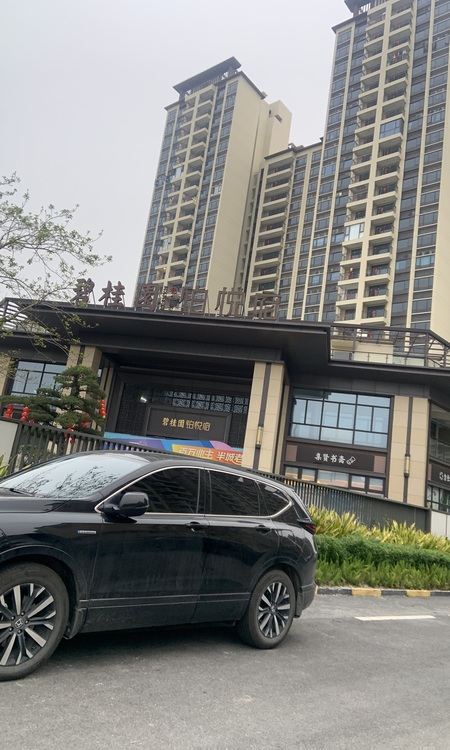 碧桂园铂悦府施工进度图