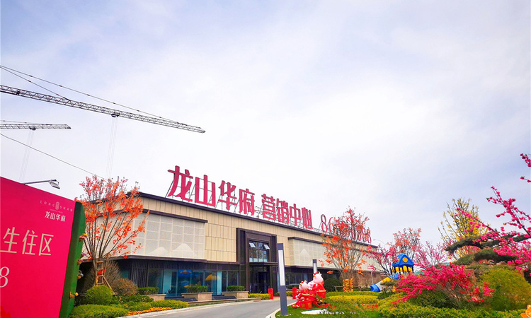 龙山·华府实景图