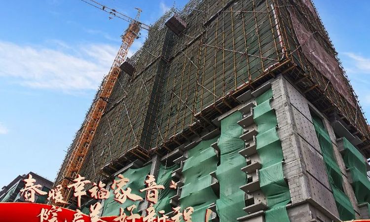 临邑·东海院子施工进度图