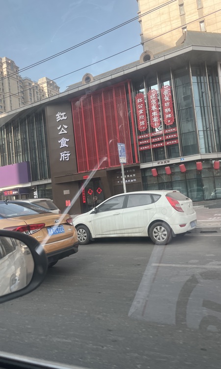 华润置地·中海·九里芳华施工进度图
