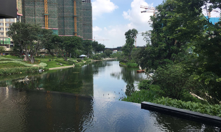 龙光玖龙台施工进度图