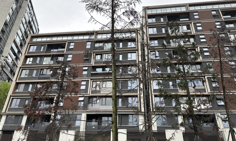 春风与辰施工进度图