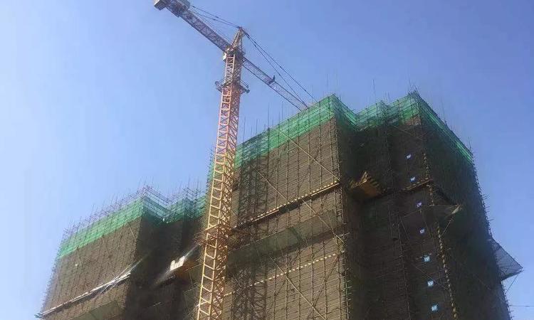 丽都城施工进度图