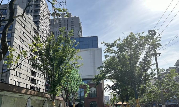 大华峯荟实景图