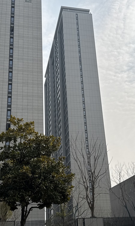 经开绿城·柳岸春晓施工进度图