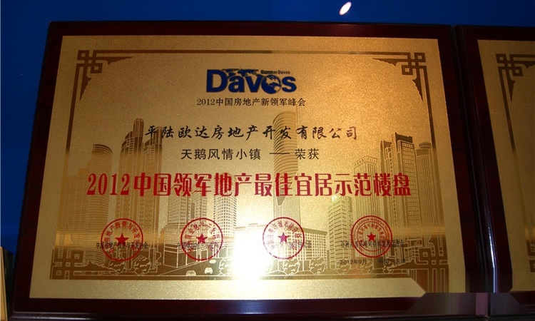 天鹅风情小镇实景图