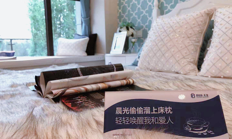 辛集碧桂园天玺样板间