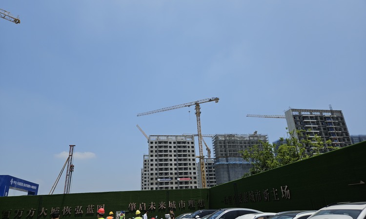 中交凤启虹桥施工进度图