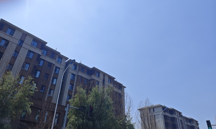 碧桂园华厦阅海施工进度图