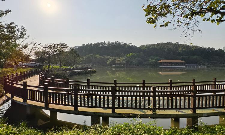绿城·揽江印月周边配套图