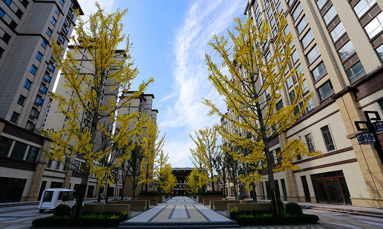 鼎居·和锦苑实景图