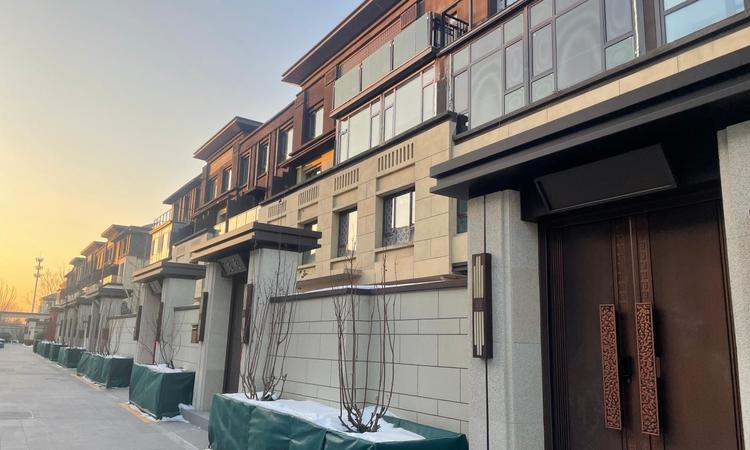 京能·丽墅实景图