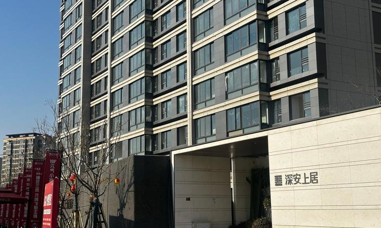 深安上居实景图