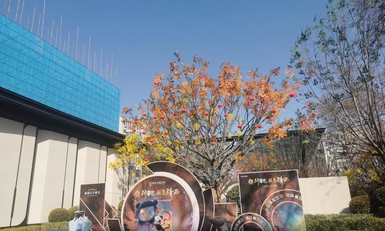 保利·华宸天奕施工进度图