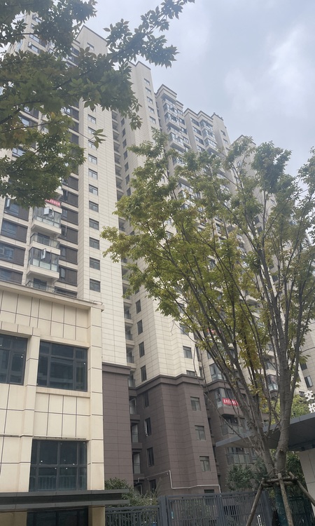 交投逸景天宸施工进度图