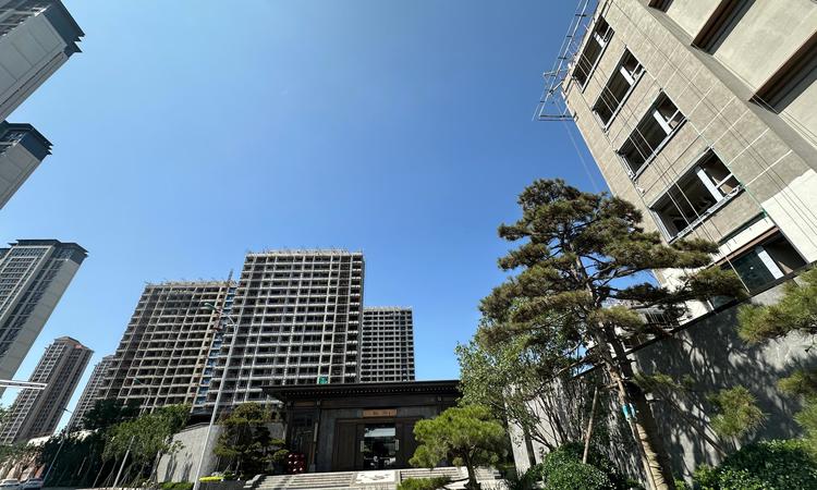 绿城水西雲庐实景图