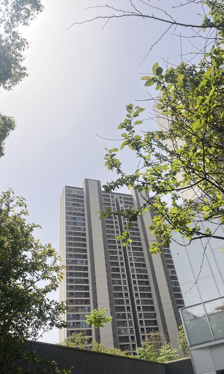 长沙润府施工进度图